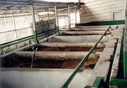 concrete fermentation tanks filled with coffee beans