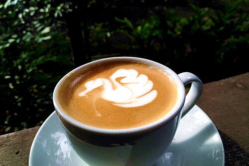 cappuccino with swan latte art pattern