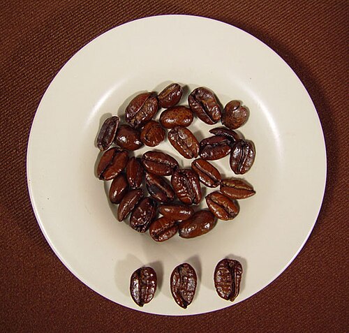 Roasted large irregular asymmetric coffee beans on plate