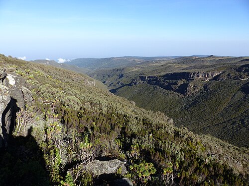Afro-alpine moorland ridge and valley on East African mountain